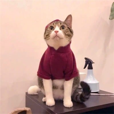 Nguyễn Công Phượng avatar